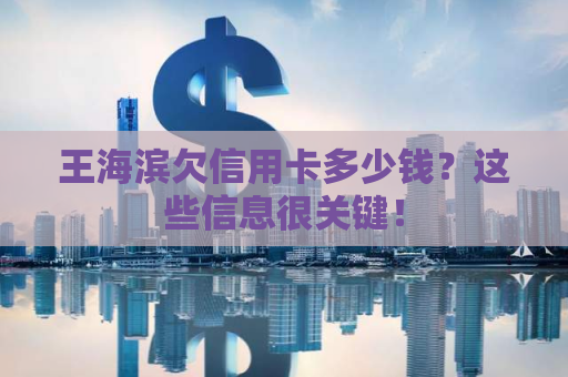 王海滨欠信用卡多少钱？这些信息很关键！