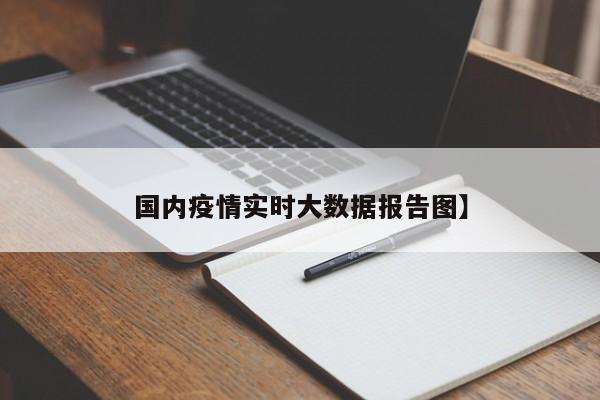 国内疫情实时大数据报告图】
