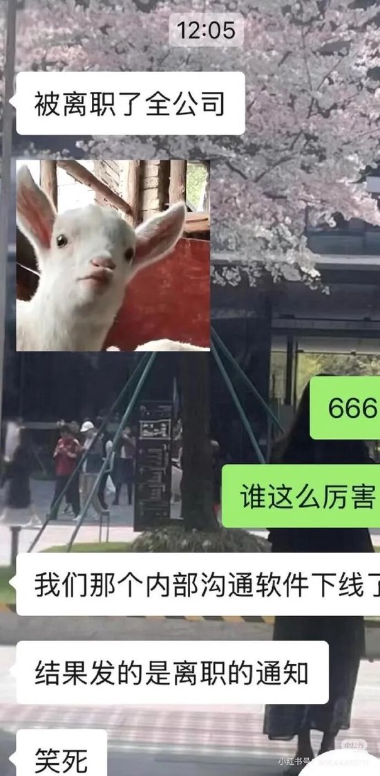 离谱！携程误发全员离职通知