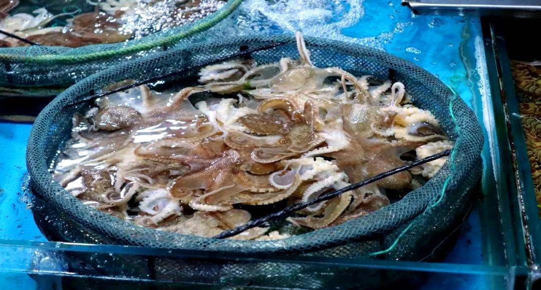 【宁波海鲜市场疫情/宁波海鲜有新冠吗】