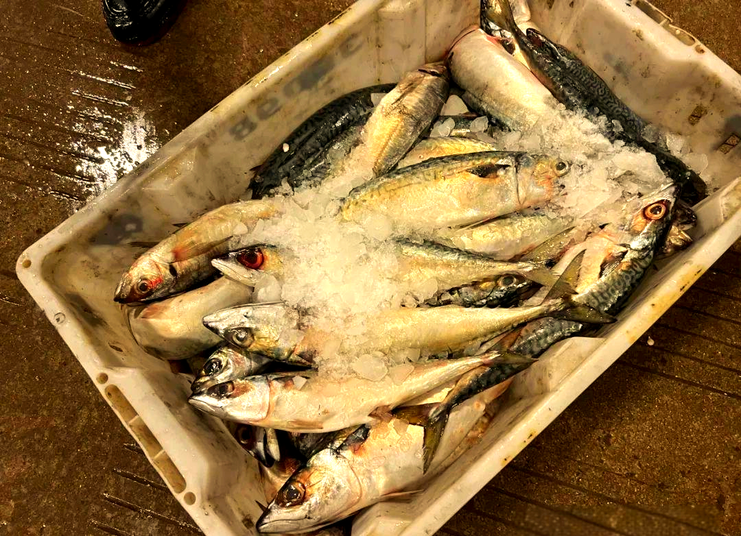 【宁波海鲜市场疫情/宁波海鲜有新冠吗】