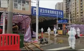 【武汉疫情华南海鲜市场_武汉疫情华南海鲜市场开门吗】