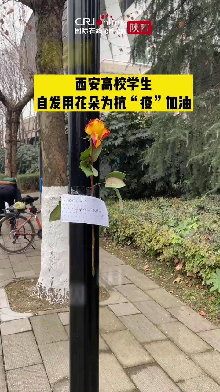 【西安高校疫情,西安高校情况】