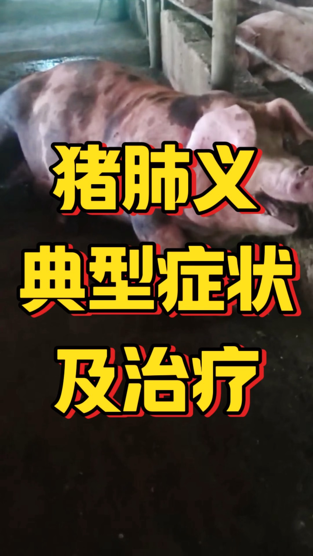 【辽宁省猪瘟疫情，辽宁省猪瘟疫情最新情况】