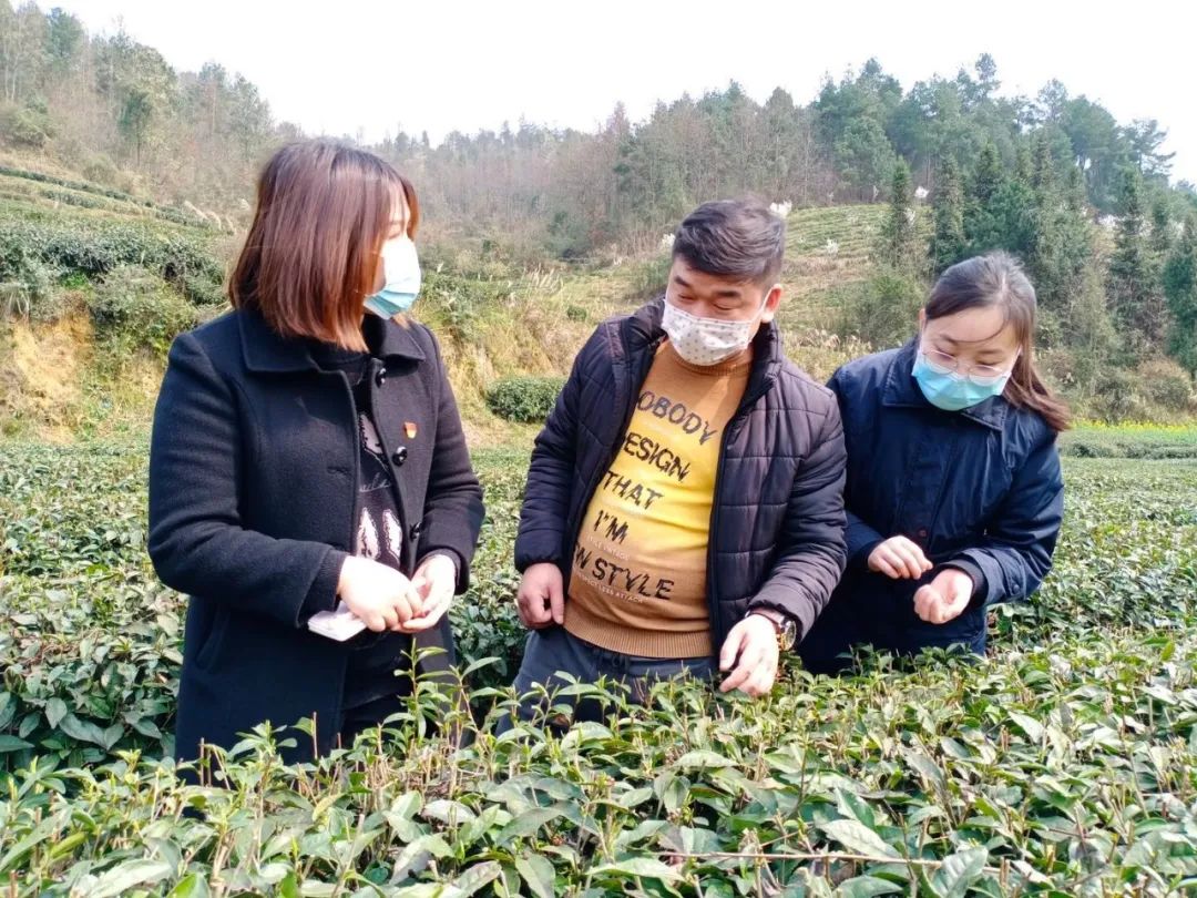 【思南县疫情最新通报，思南县疫情防控】