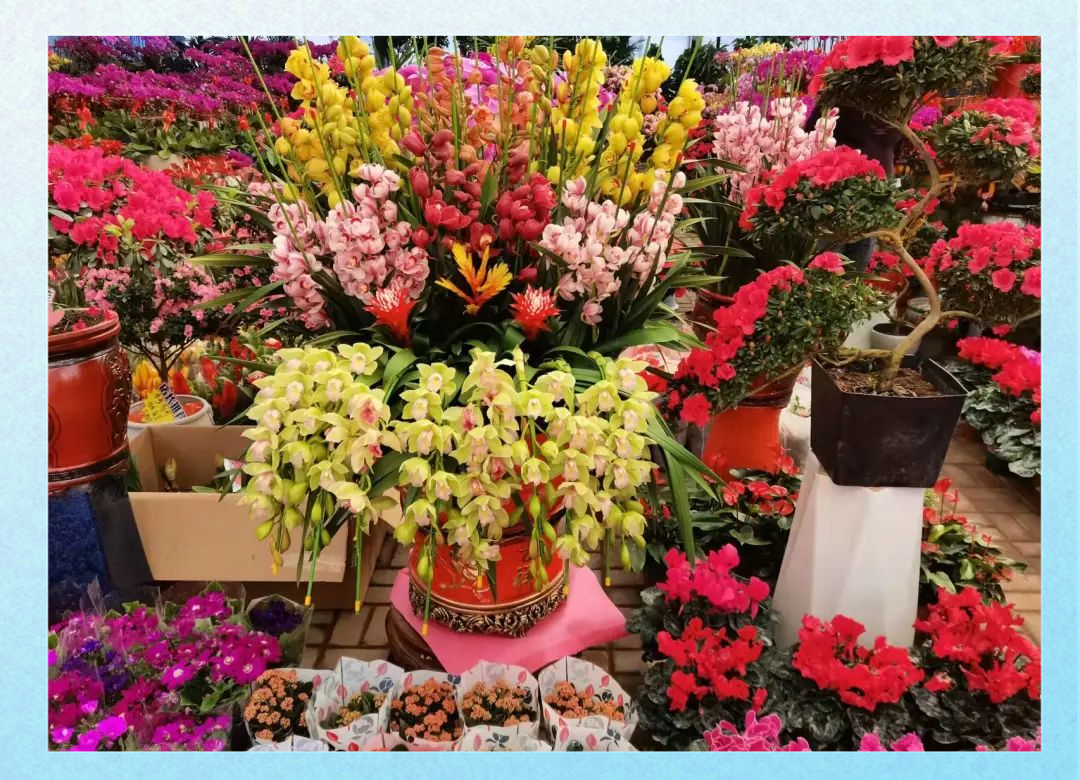 曹庄花卉市场春节营业时间】