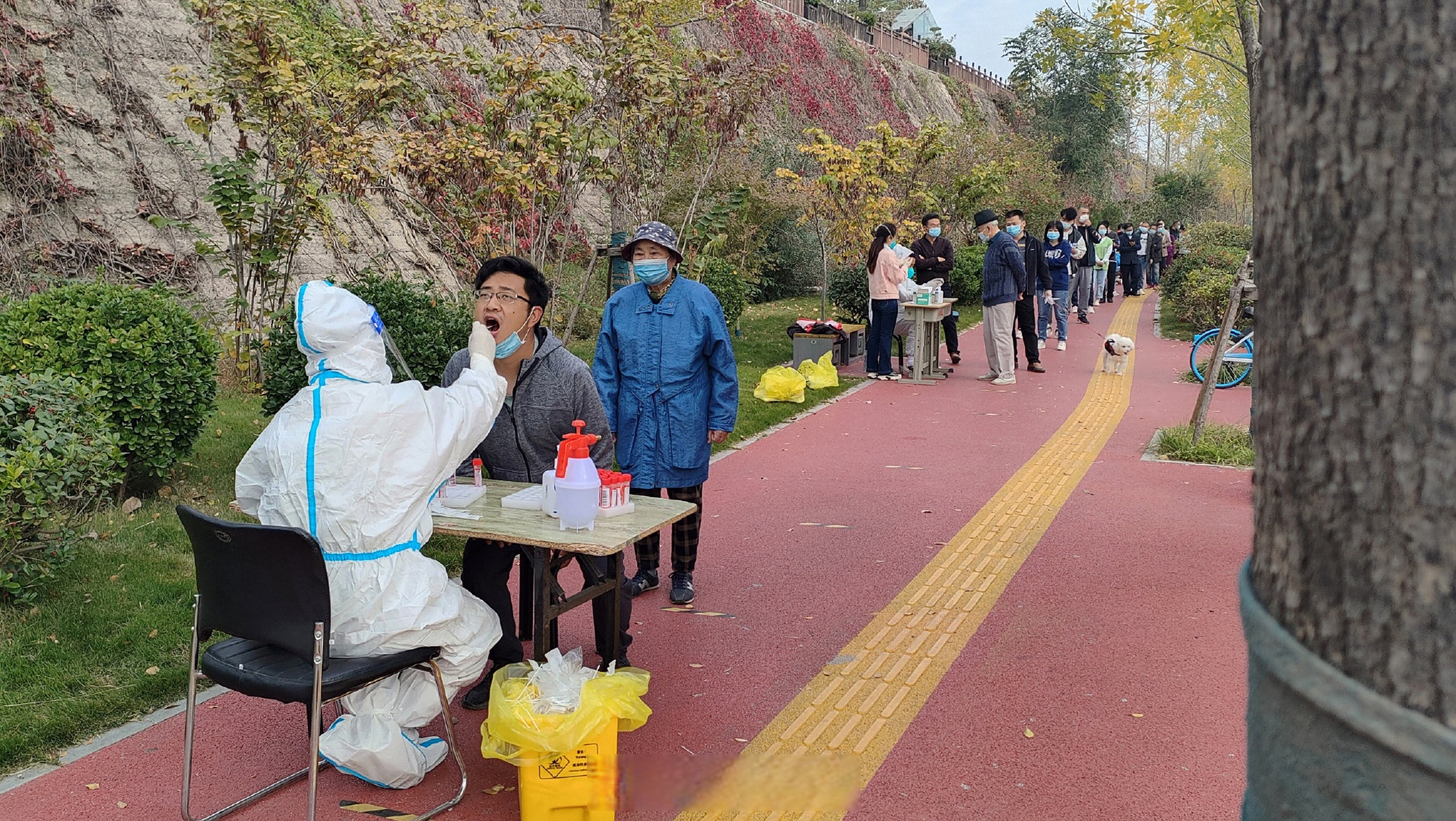 开封市疫情防控官网】