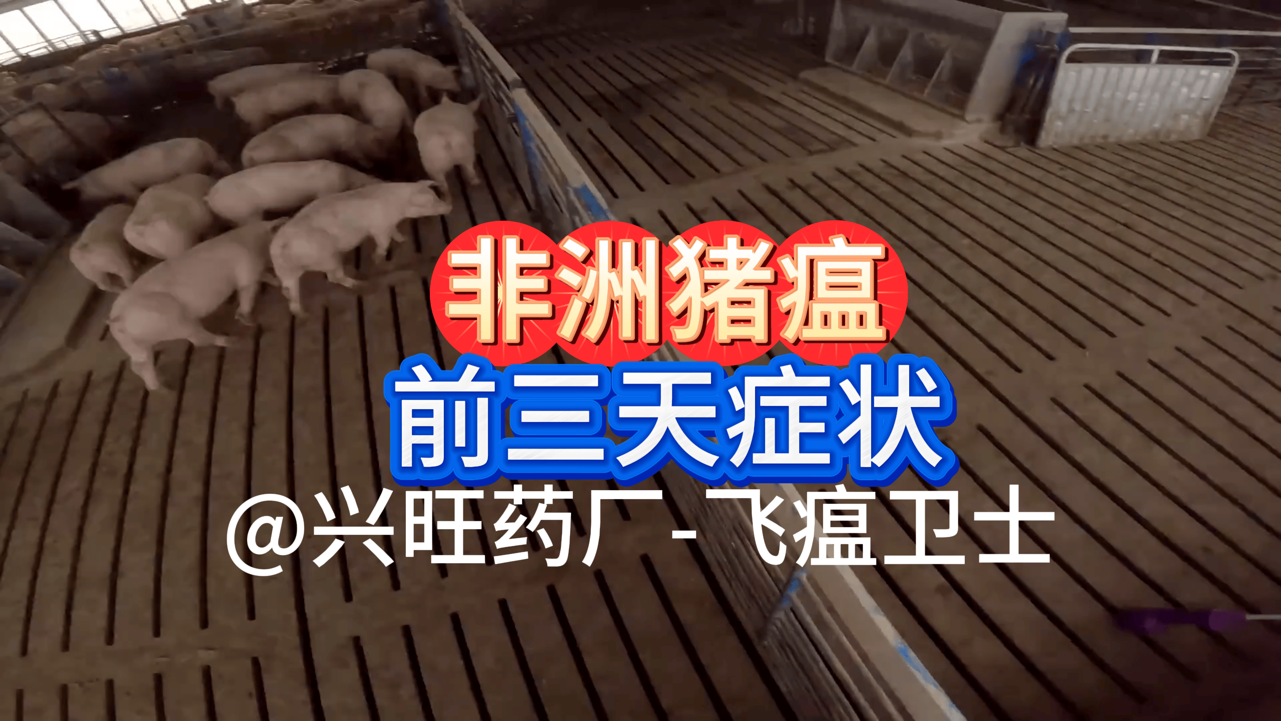 【非洲猪瘟疫情最新情况,非洲猪瘟疫情最新情况通报】