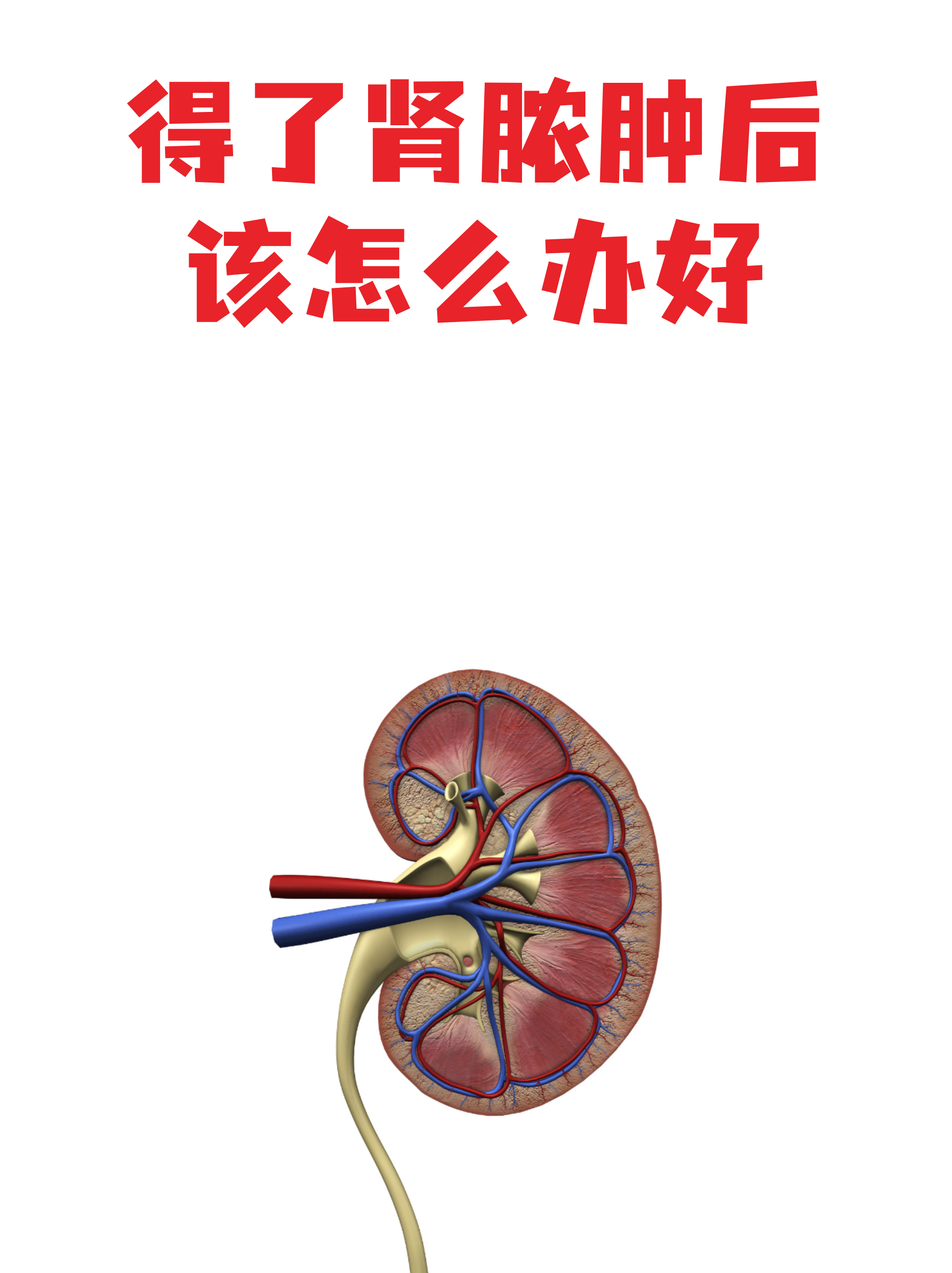 【面对疫情我们该怎么做/在面对疫情时,我们应该怎么做?】