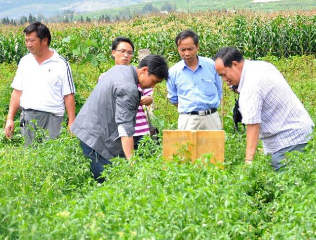 【绿色青浦区疫情,为什么绿色青浦app下载后打不开】