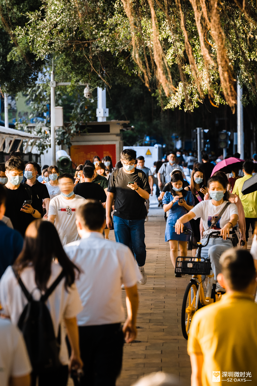 深圳本地新增新型肺炎最新消息】