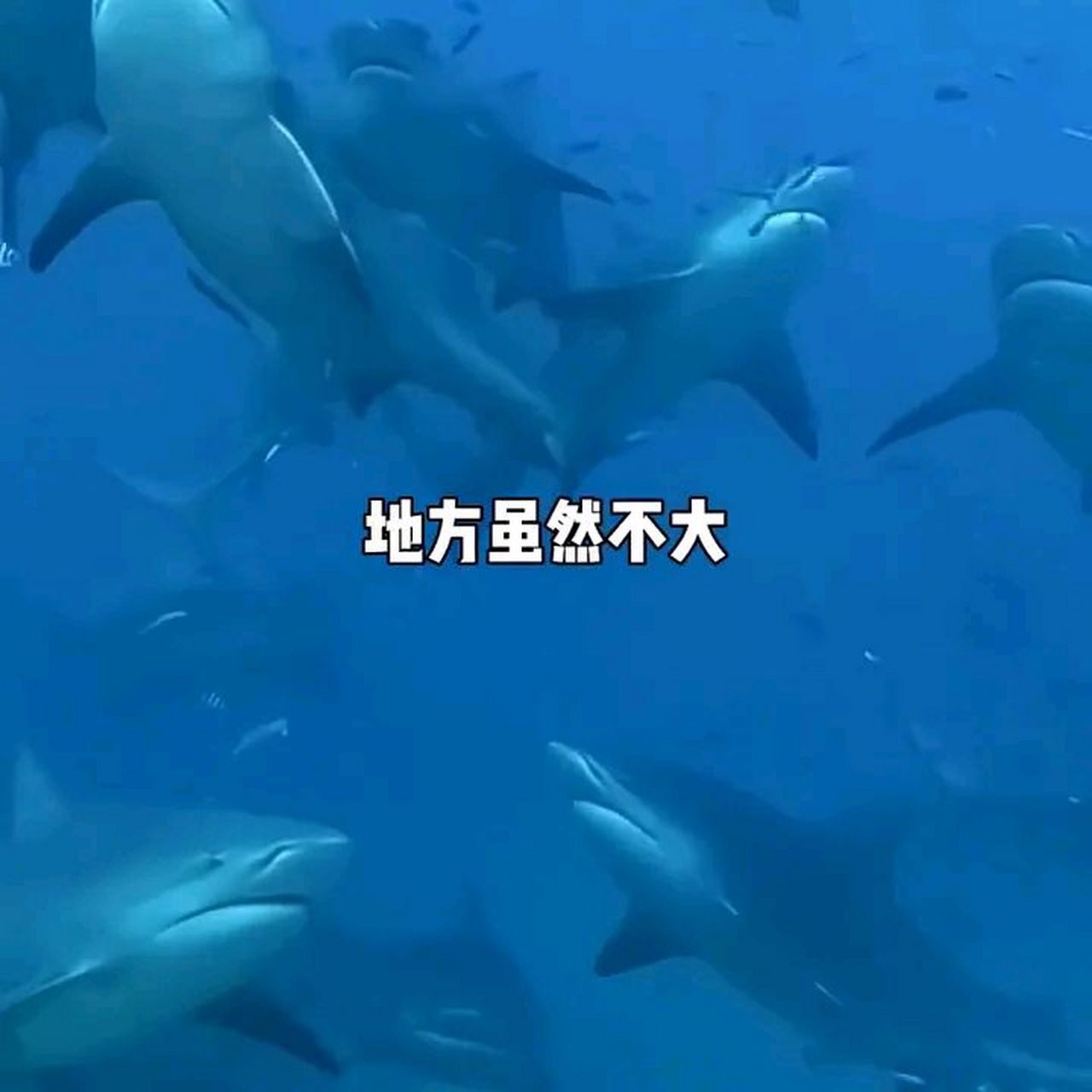 【唯一没有疫情的国家，至今为止没有疫情的国家】