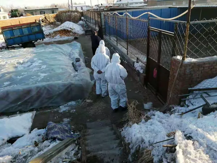 【局疫情_商务局疫情】 【局疫情_商务局疫情】