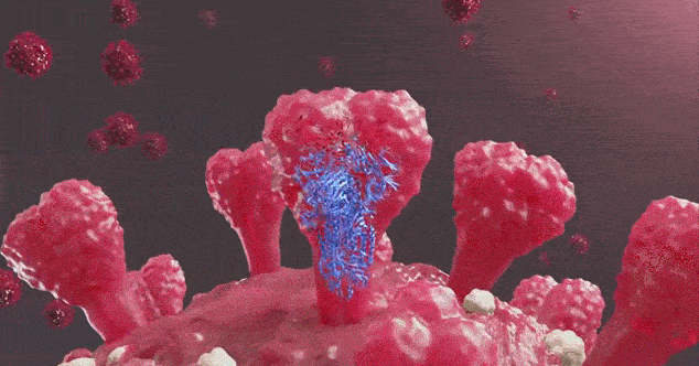 【动态疫情_役情动态数据】 【动态疫情_役情动态数据】