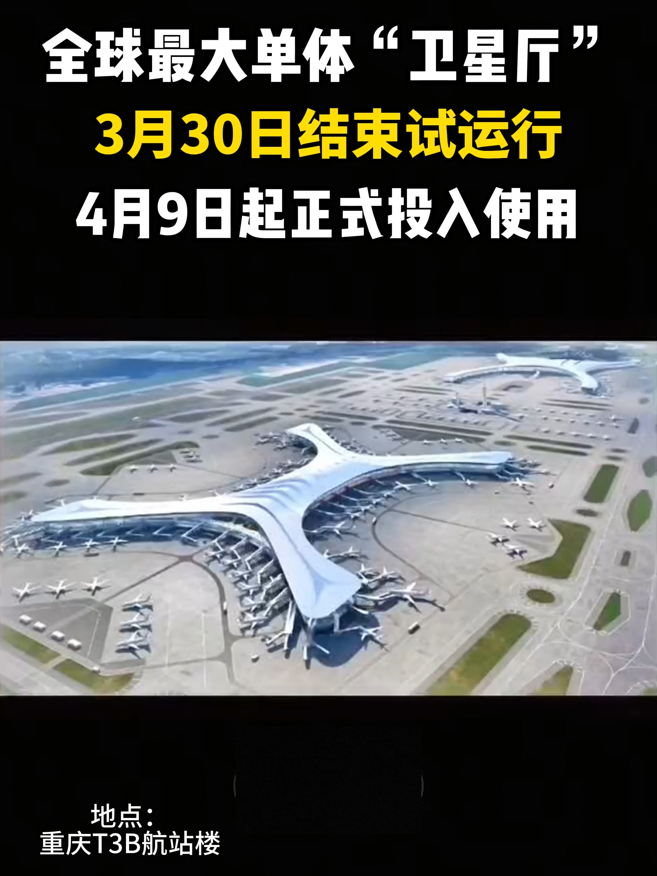 【t3航站楼疫情