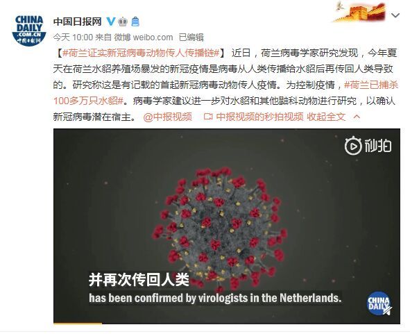 【荷兰新冠疫情/荷兰新冠疫情死亡人数】