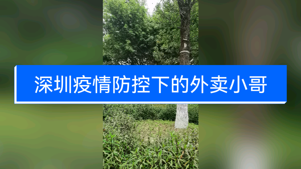 【深圳疫情期间