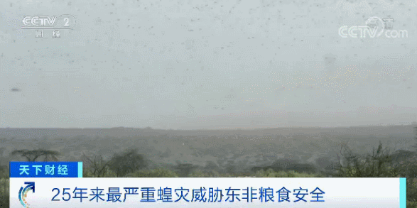 【澳洲疫情实时动态，澳洲疫情实时动态最新】