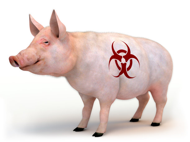 【猪流感疫情_猪流感疫情最新消息2020】 【猪流感疫情_猪流感疫情最新消息2020】