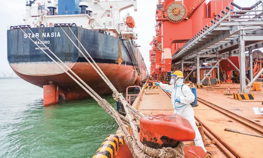 【船舶疫情防控，船舶疫情防控应急预案简单版】