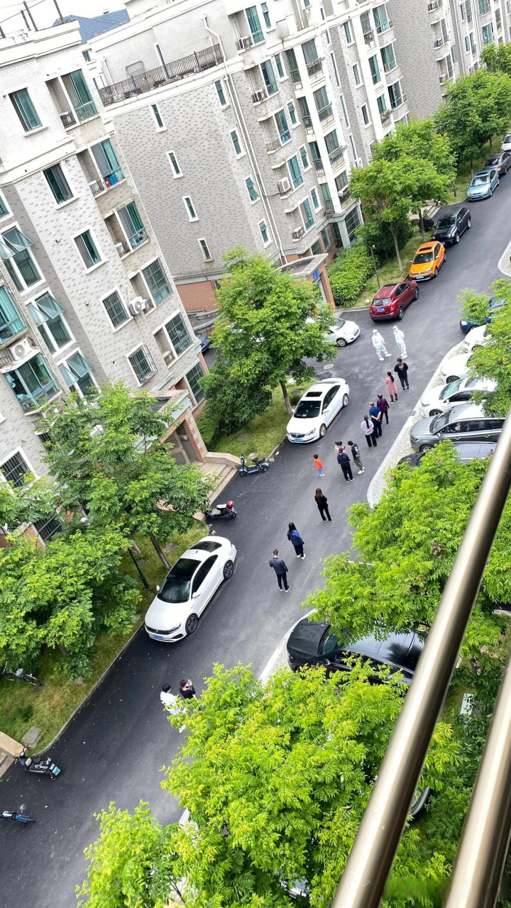 【上海疫情小区/上海疫情小区速查】