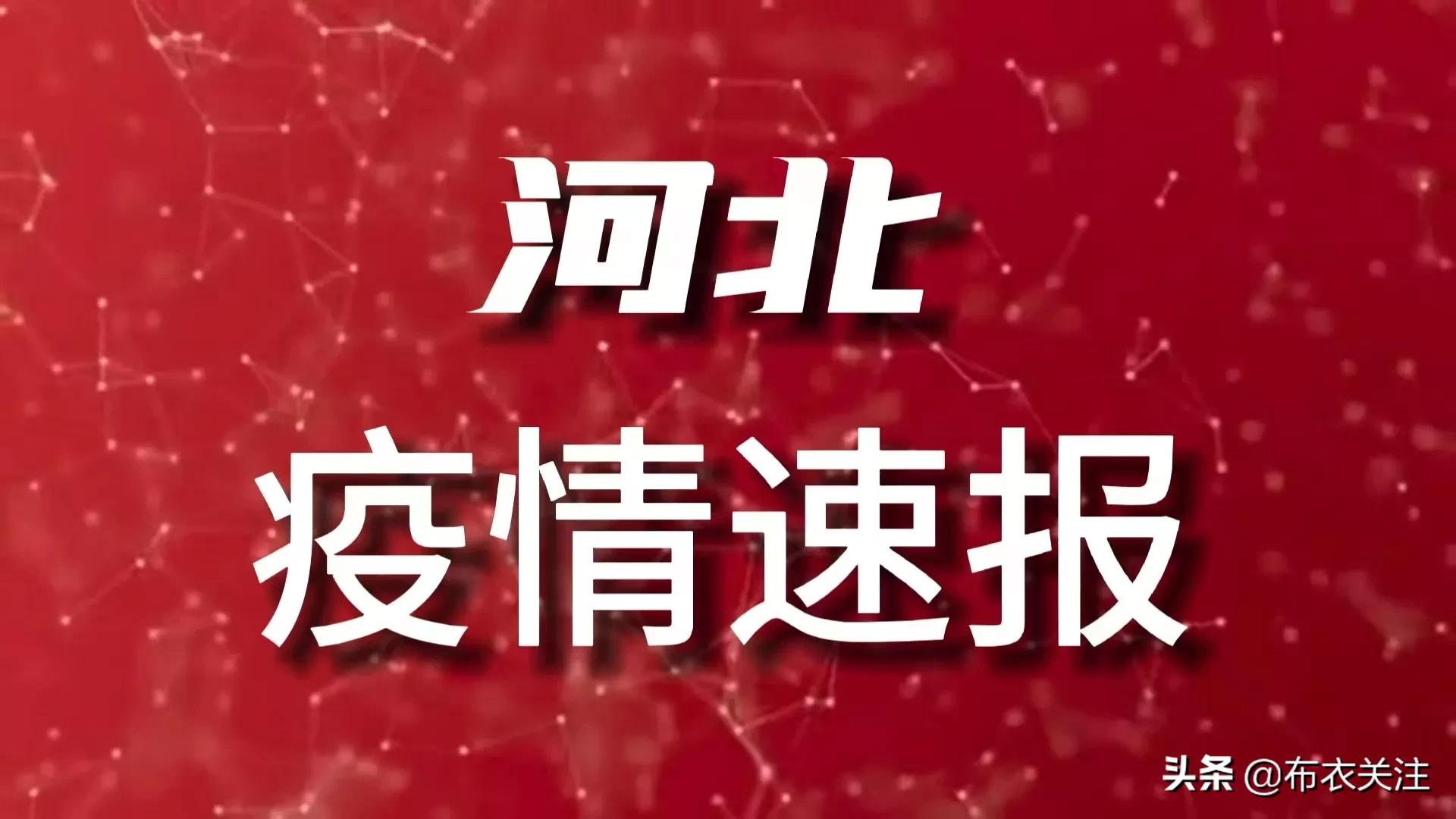 【河北最新猪疫情